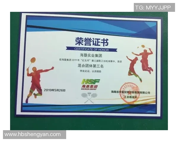 深圳羽毛球队团队协作深度解析及其对比赛成绩的影响研究 深圳羽毛球队团队协作深度解析及其对比赛成绩的影响研究
